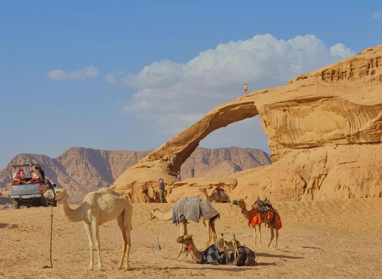 Wadi Rum Oscar Camp Ngoại thất bức ảnh