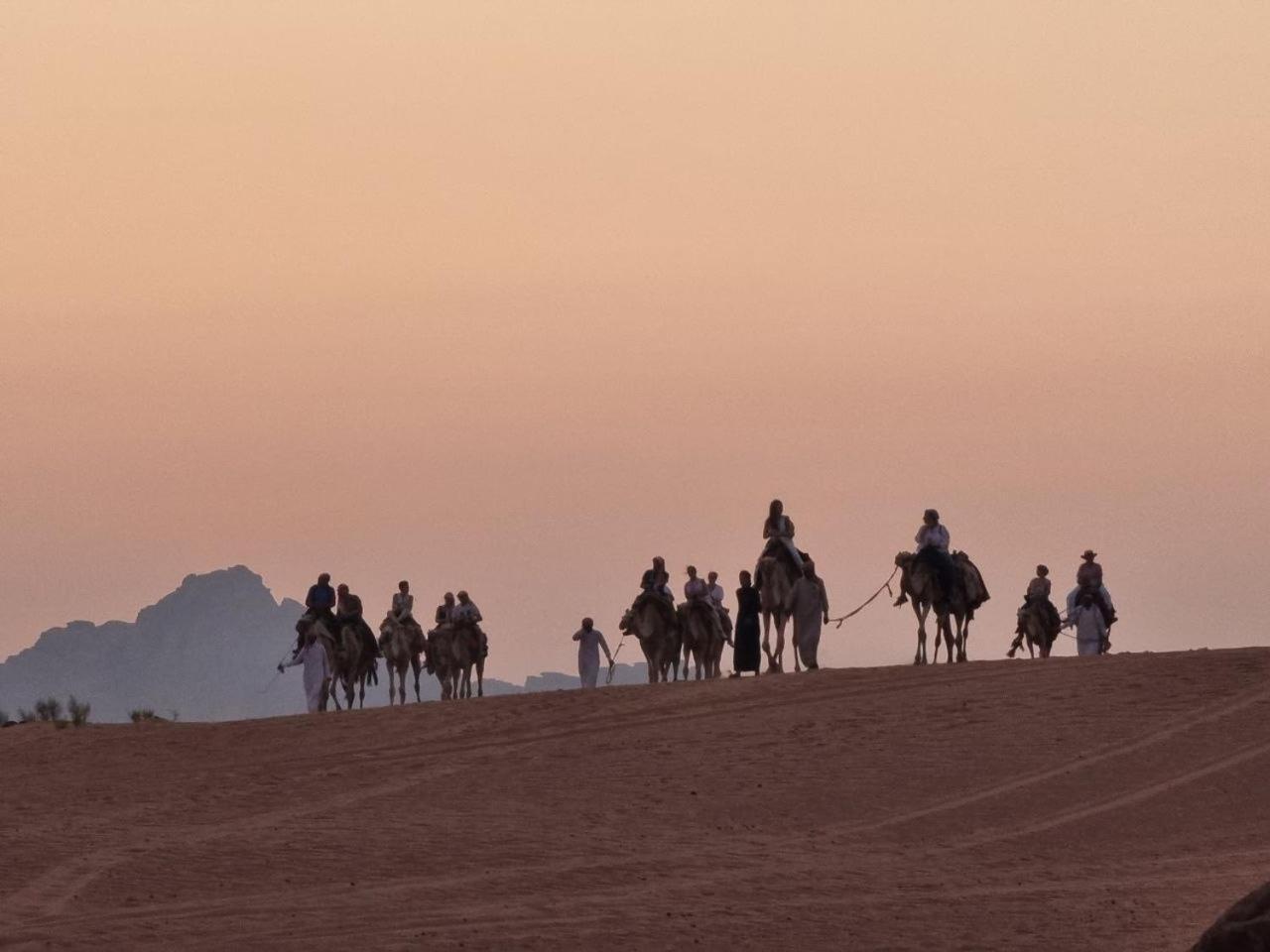 Wadi Rum Oscar Camp Ngoại thất bức ảnh